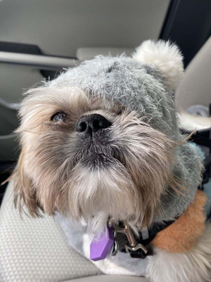 AdorableButters's tweet photo. https://t.co/pXNS6EZb8i