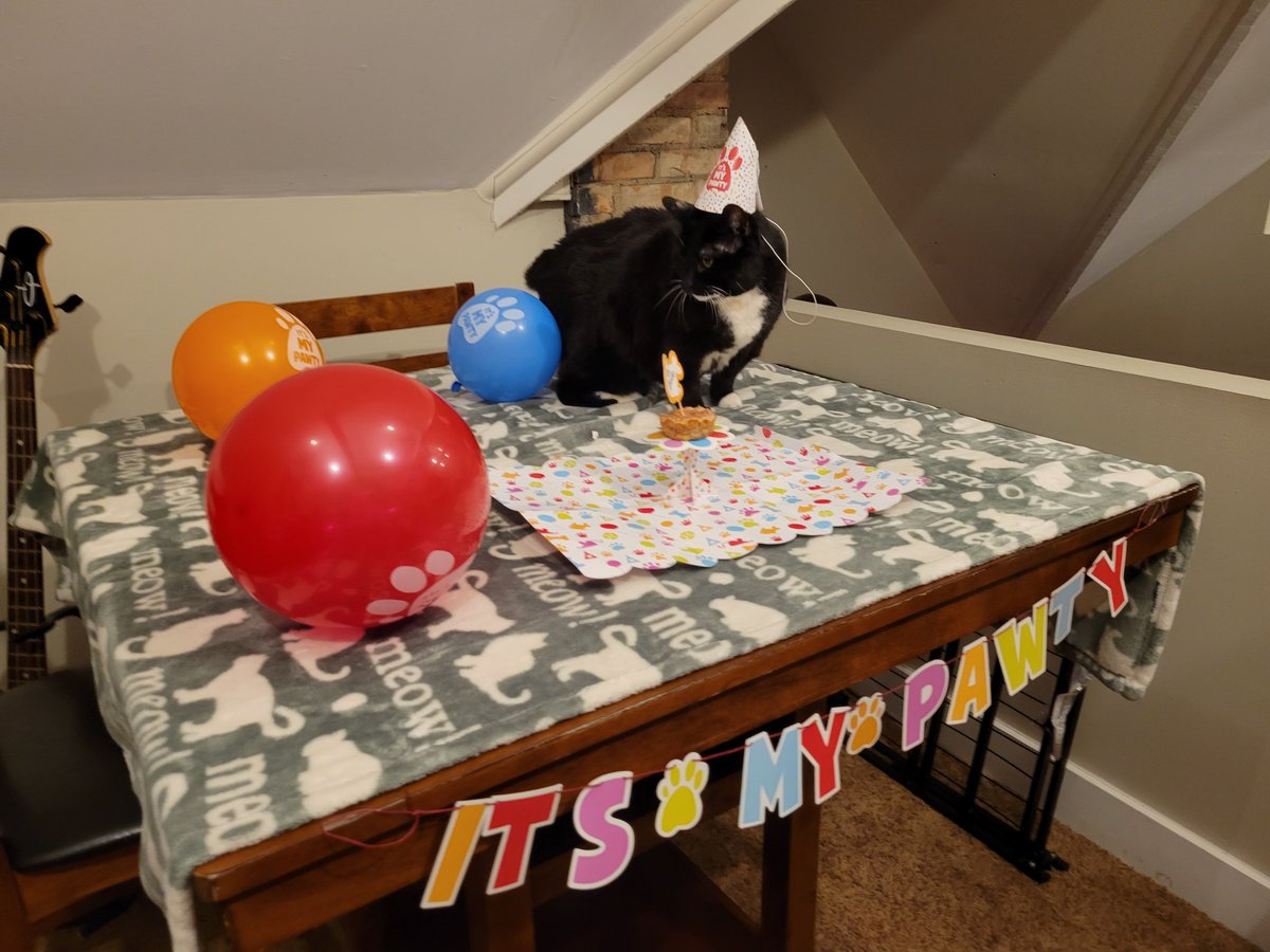 BodesFupa's tweet photo. I am fourteen !!!!!!!! https://t.co/LVPQIeXTQX