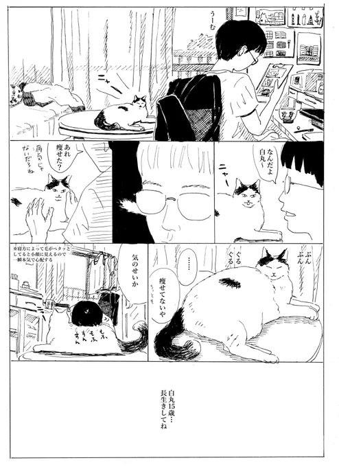 白丸15歳(過去作)

この時、気のせいと思ってたけど
実際痩せてたと後で知ったのです。
(でも健康なので、ご安心を) 