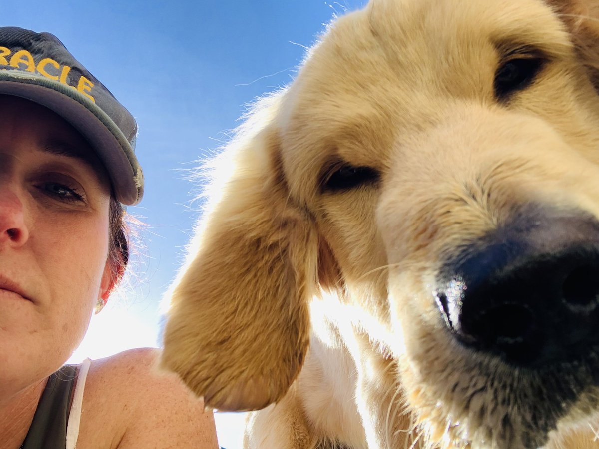 Anna Bates tweet media