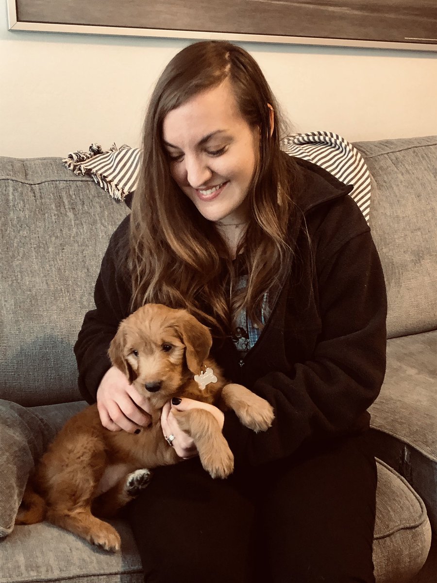 heathinrealtime's tweet photo. alexa, play “golden” by harry styles 💕 #imanaunt #lillottie
cc: hashtag dog dad, @murray2328 https://t.co/2cBat72IhP
