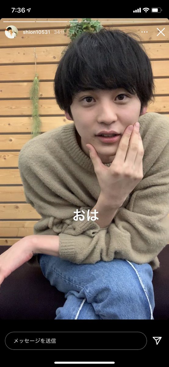 あづ على تويتر テラスハウスに出てたモデルさん すんごいかわいい顔してるよね 鈴木志遠で検索したら出るからツイッターも見てみてー なんかいつもおもしろい文章書いてる