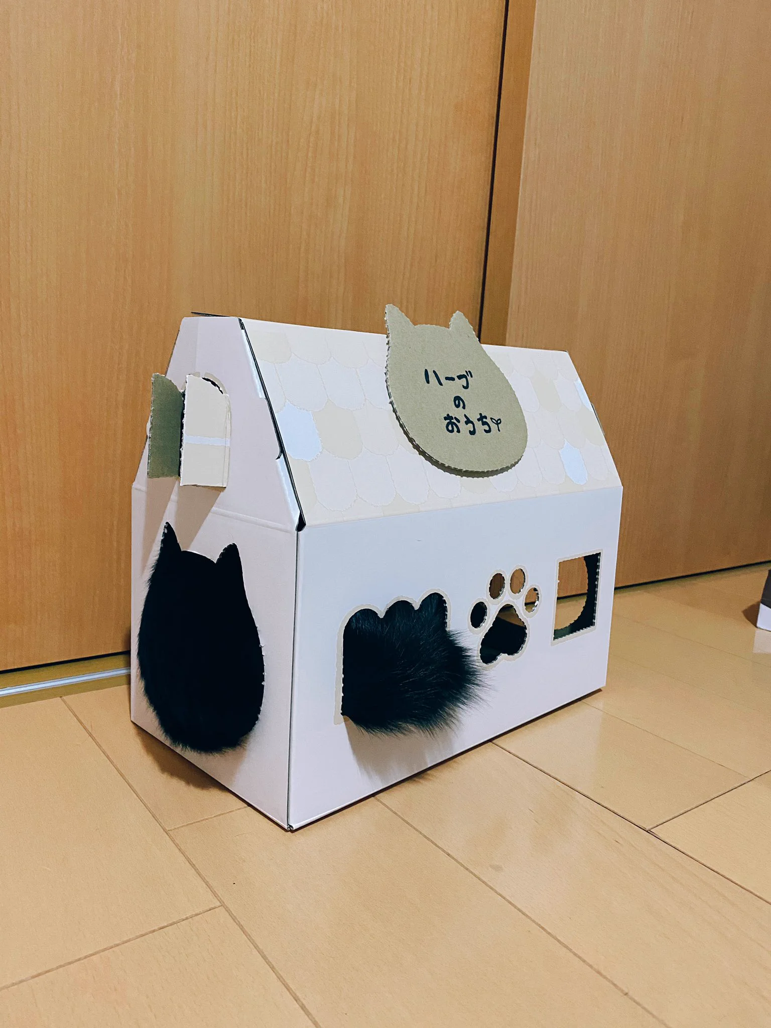 これは可愛い…！！！ねこねこ食パンの箱に黒猫さんが入ってる！！