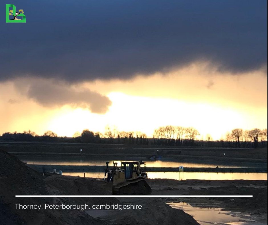 Land Logical tweet media