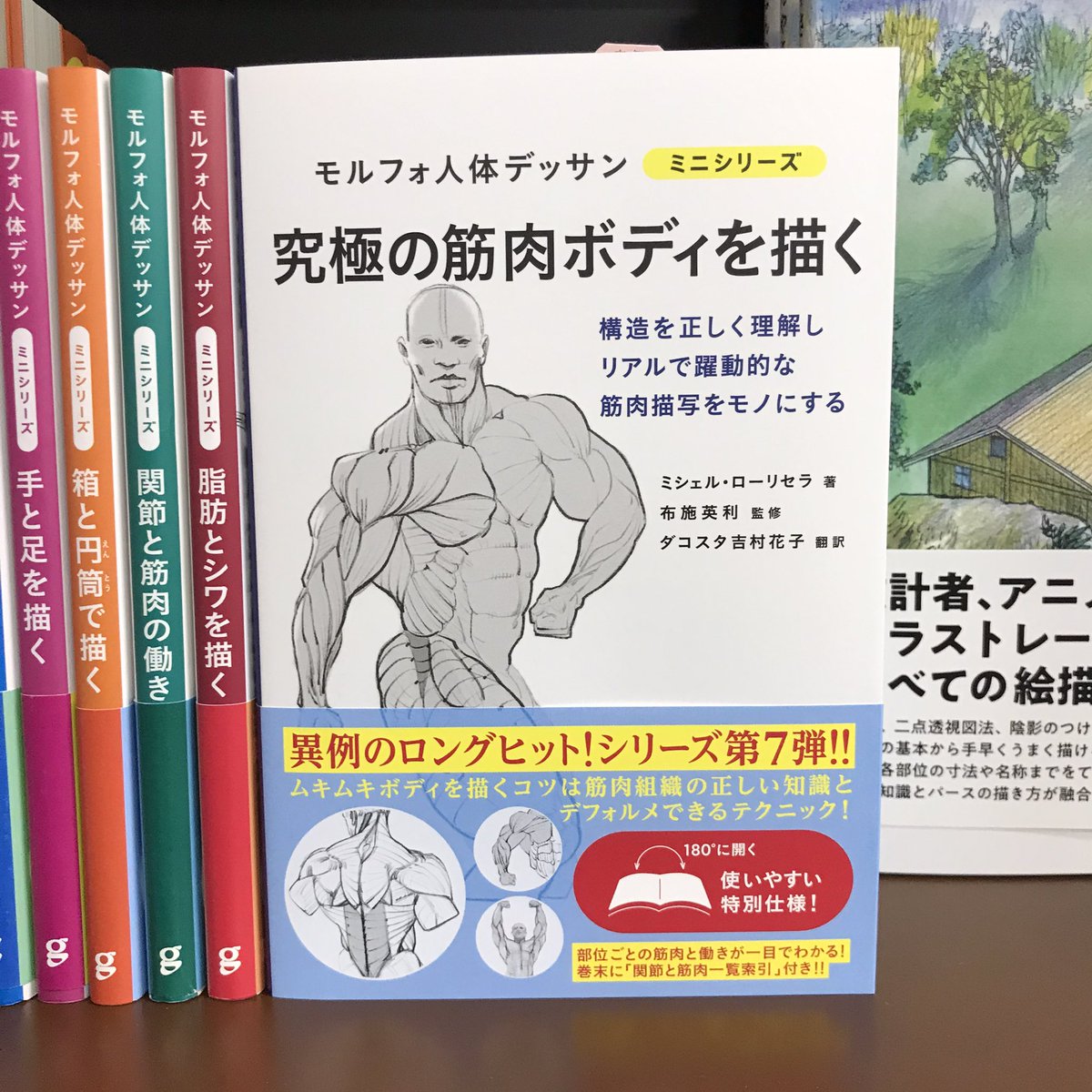 モルフォ人体デッサン ミニシリーズ 究極の筋肉ボディを描く