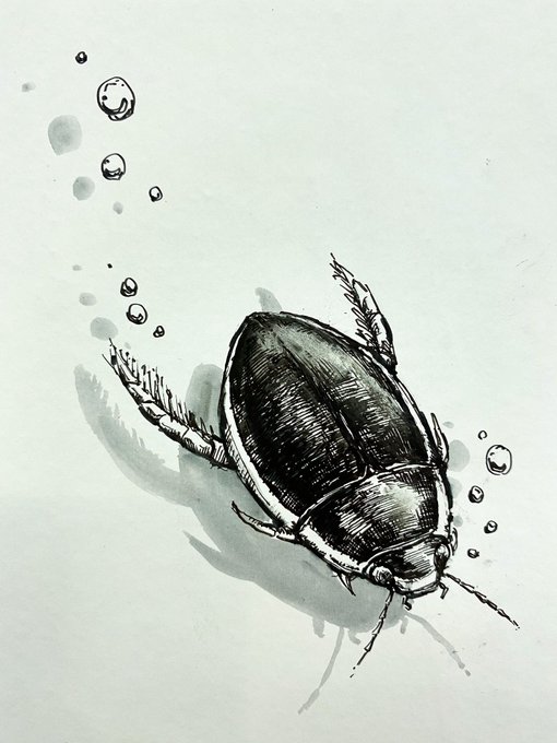 ✒️げんごろ 