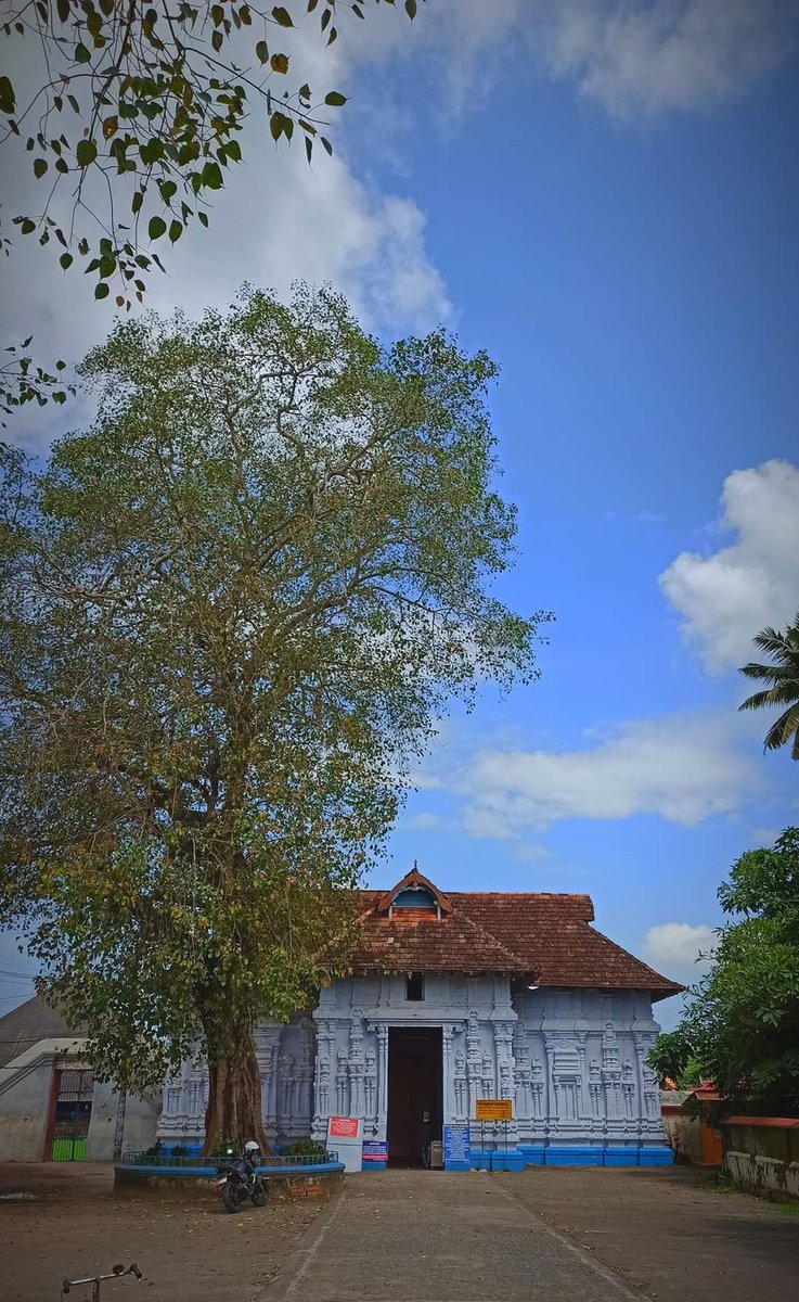 ആൽമര പ്രദക്ഷിണം എന്തിന് ? 

ആല്‍മരം വെറും ഒരു മരം അല്ല, ശ്രേഷ്ഠതയും പവിത്രതയും സങ്കല്‍പിച്ച്‌ ആരാധിക്കുന്ന പുണ്യവൃക്ഷമാണ്,അപൂര്‍വ്വ ഗുണങ്ങള്‍ ദാനം ചെയ്യുന്ന ഈ മഹാവൃക്ഷം പല രോഗങ്ങളുടെയും ആശ്വാസകാരകന്‍ കൂടിയാണ്.