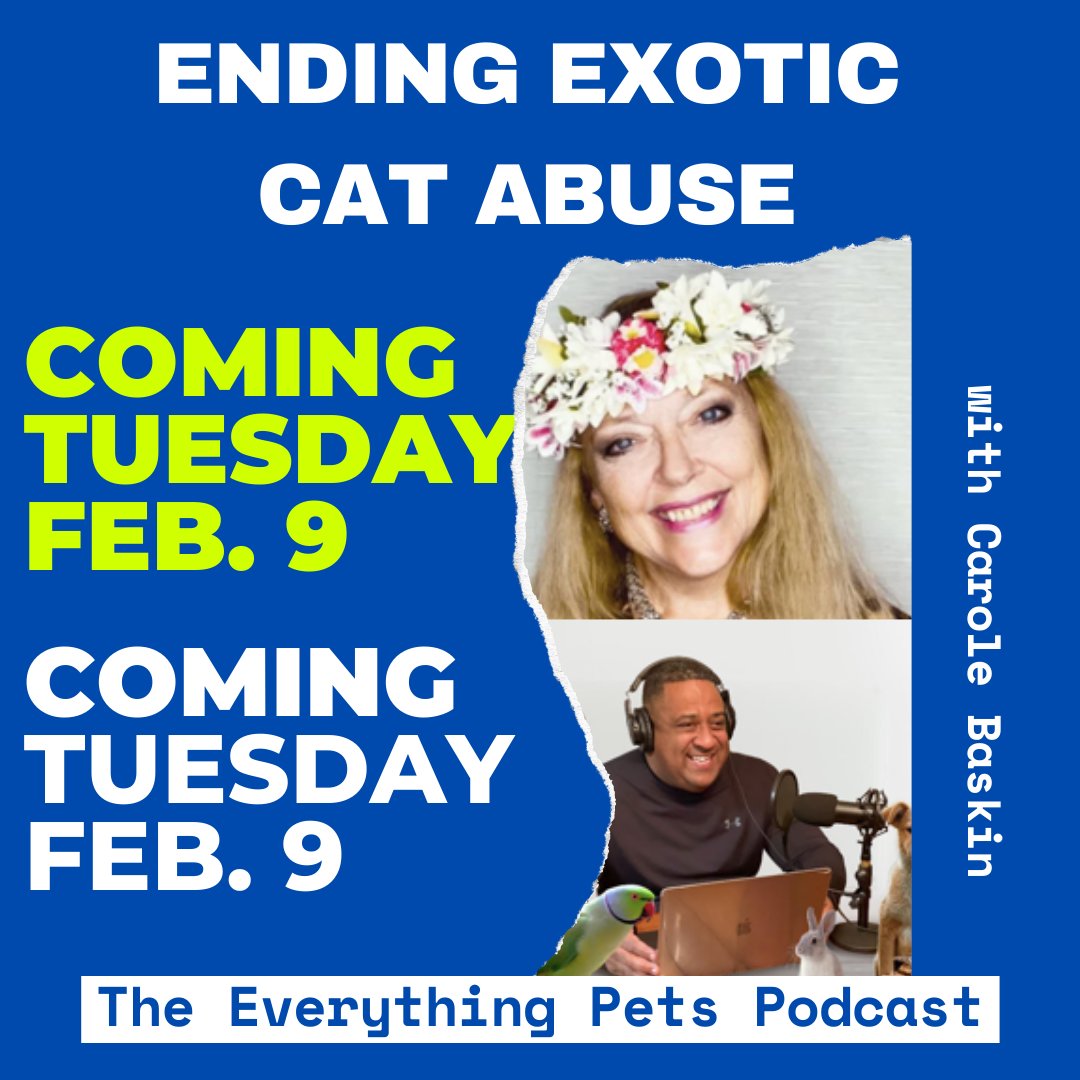 Everything Pets Podcast tweet media