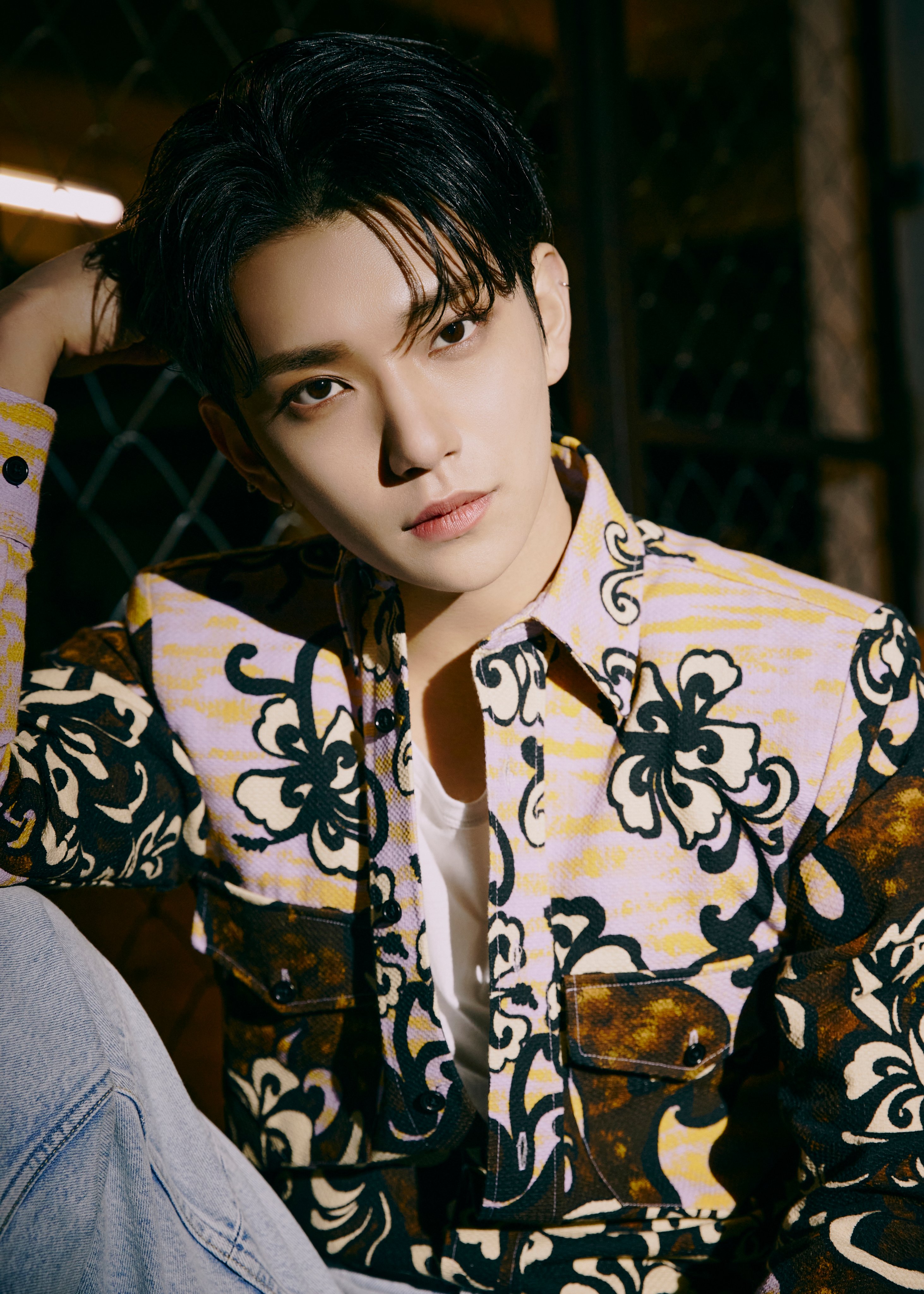 Seventeen Members Profile Updated