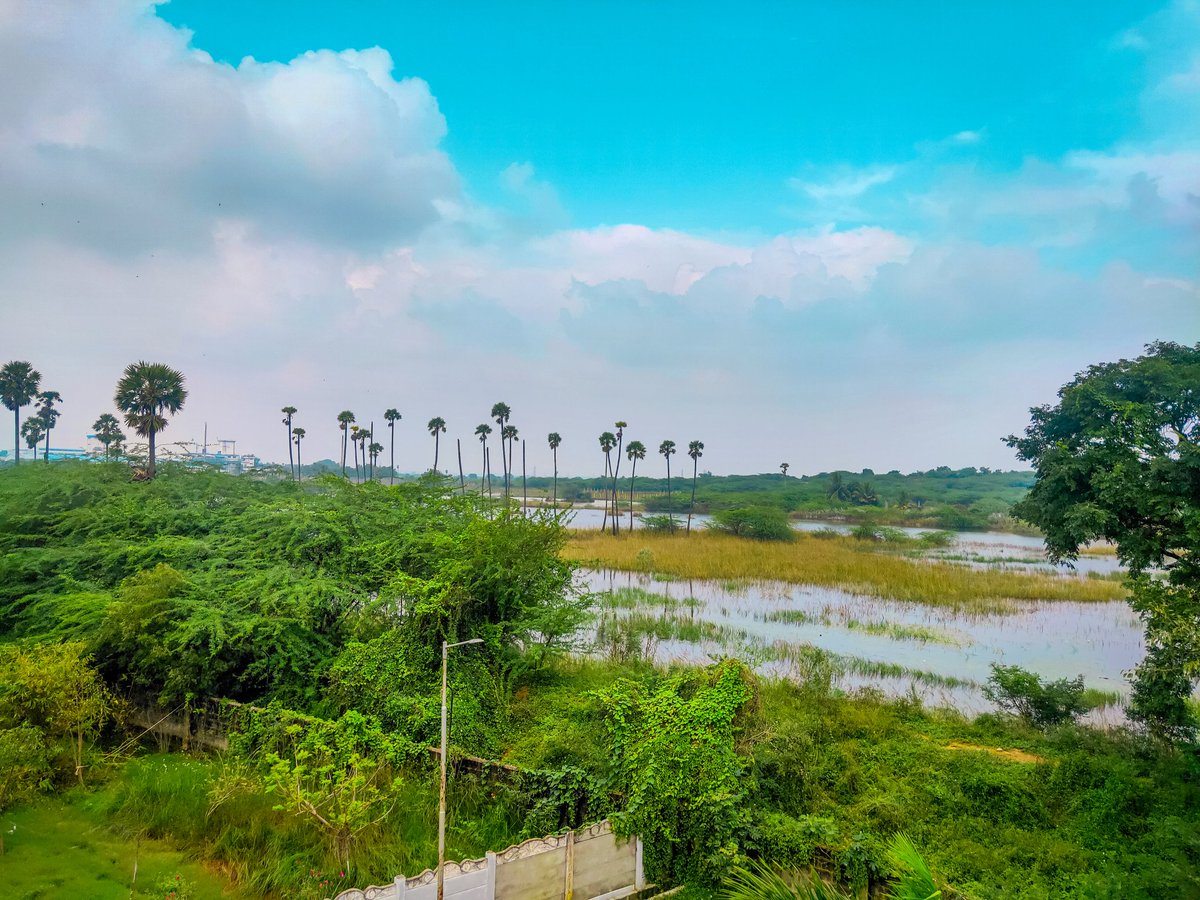 EditsPoint's tweet photo. Nature 💚💚💚 
#pabitraeditspoint 
#green #blue
#sky #nature #naturephotography #naturelovers #NatureLover #natureza #Naturegram #natureporn #natureaddict #naturephoto #natureshots #naturelove #natureonly #photography #photographylovers #photographysouls #photographyeveryday https://t.co/r6vmAe2pEe
