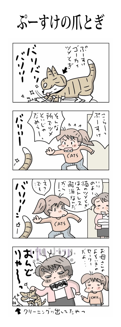 ぷーすけの爪とぎ
#こんなん描いてます
#自作マンガ #漫画 #猫まんが 
#4コママンガ #NEKO3 