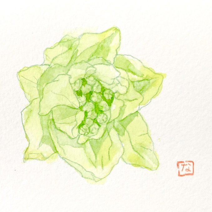 ふきのとうのtwitterイラスト検索結果 ふきのとうのtwitterイラスト検索結果