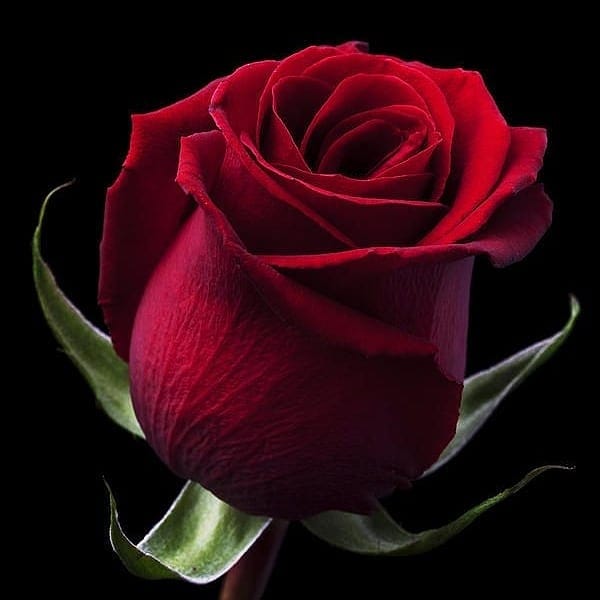 deep_peorty's tweet photo. @__dolly_baby https://t.co/NjEwNXKl2C