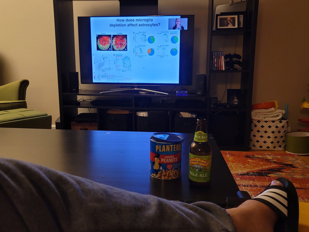 Sweatpants, leftover Superbowl snacks and beer, and <a href="/ints2020/">INTS2020</a> talks!!! Starting to get used to the new conference style! Great talk <a href="/FaithBrennan01/">Faith Brennan</a>!! #SCIresearch