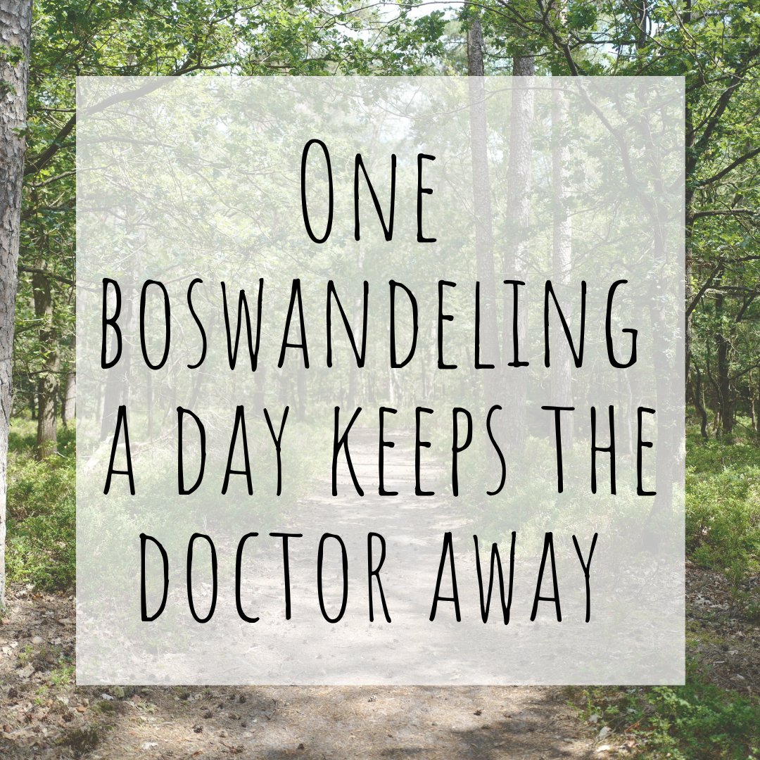 Oma zei het vroeger al; boslucht is een balsem voor je luchtwegen. Een wandeling in het bos brengt je fysiek en mentaal in de herstelstand en activeert je immuunsysteem! 

#boswandeling #weesliefvoorjezelf #thuiswerken #vergeetnietteontspannen #krachtkoekmee #kefiaarwatermee #luc