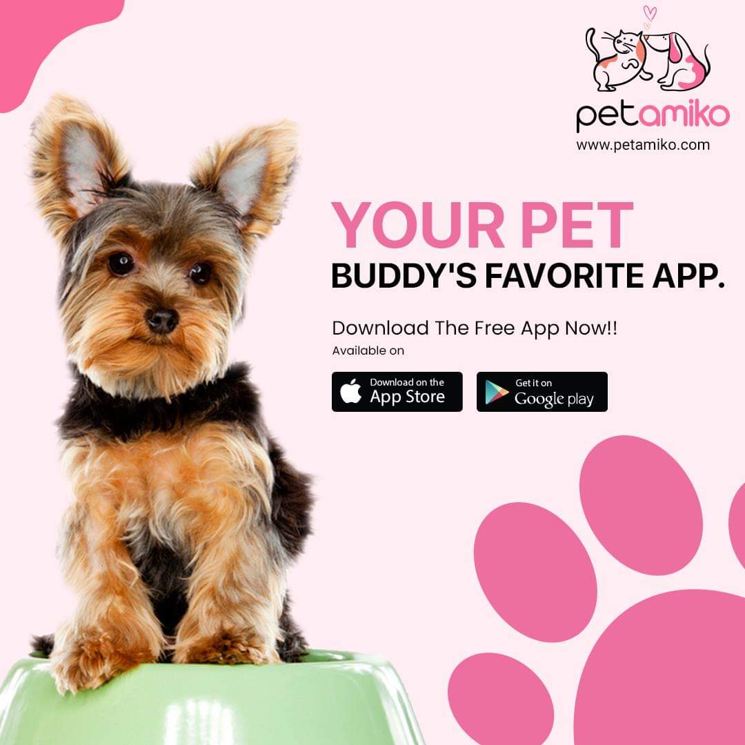 petamiko_app's tweet photo. Download the app Petamiko from your iOS or Android app at no cost.

We are a one-stop solution for your comprehensive pet-care needs!

#petamiko #bestpetapp #topratedapps #indianapp #petcare #petapps #petparents #petlovers #pets #petindia #cats #dogs #petsplaymate https://t.co/s49dszweWu