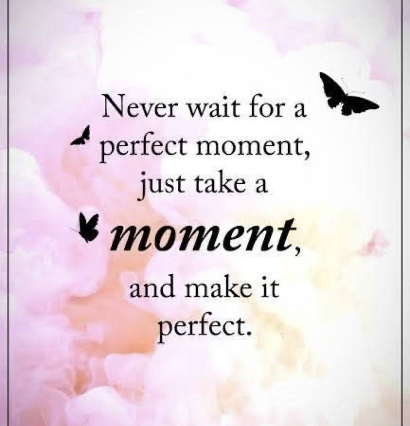 PortraitPositiv's tweet photo. #PortraitPositive https://t.co/o9JmCiyfiI