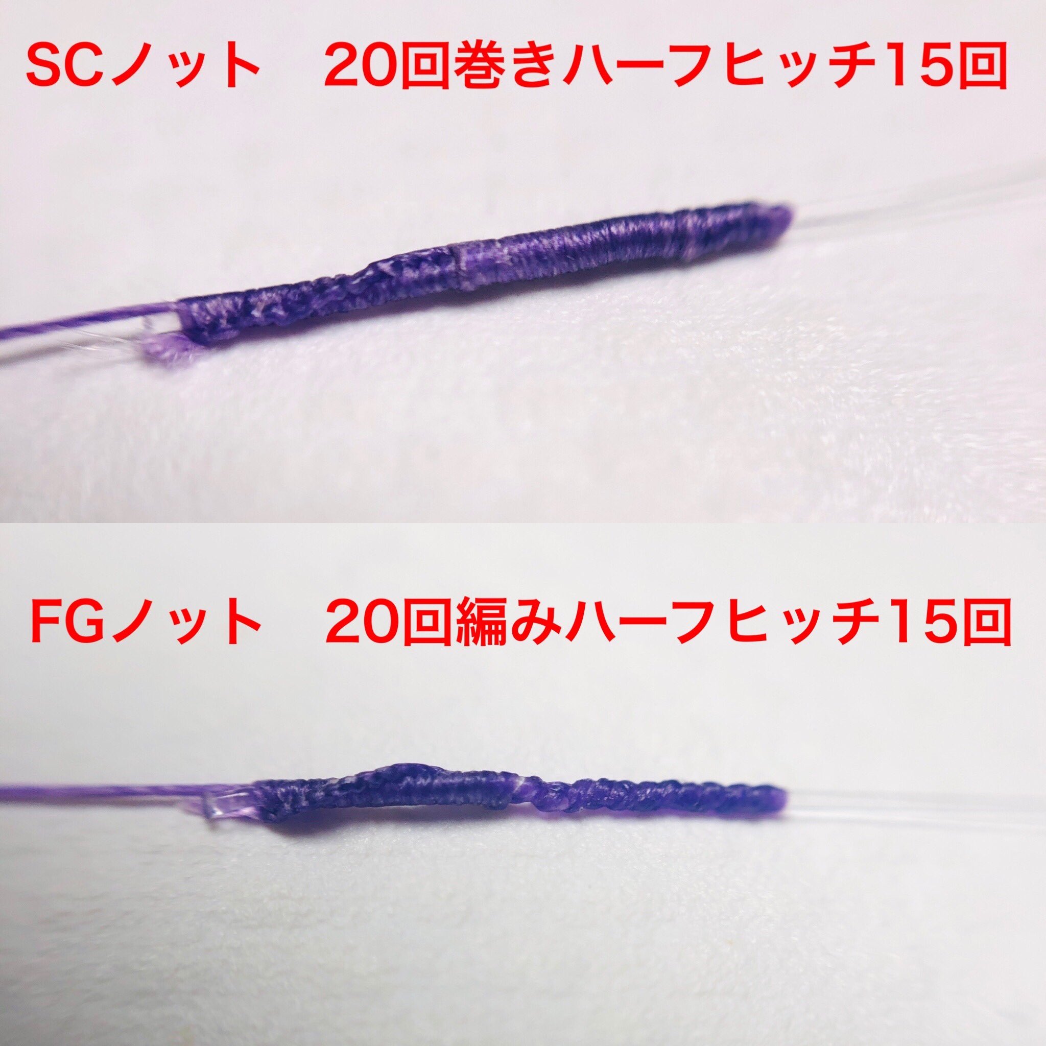 Scノット Twitter Search Twitter