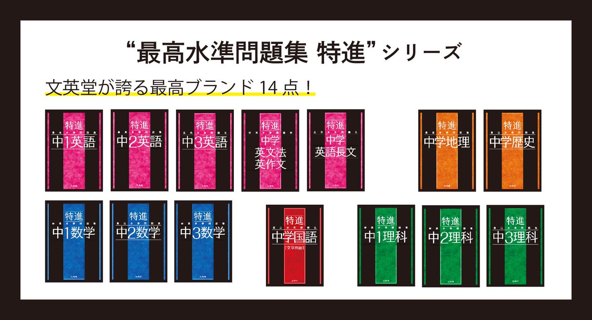 中学国語[文章問題]　参考書　最高水準問題集　特進