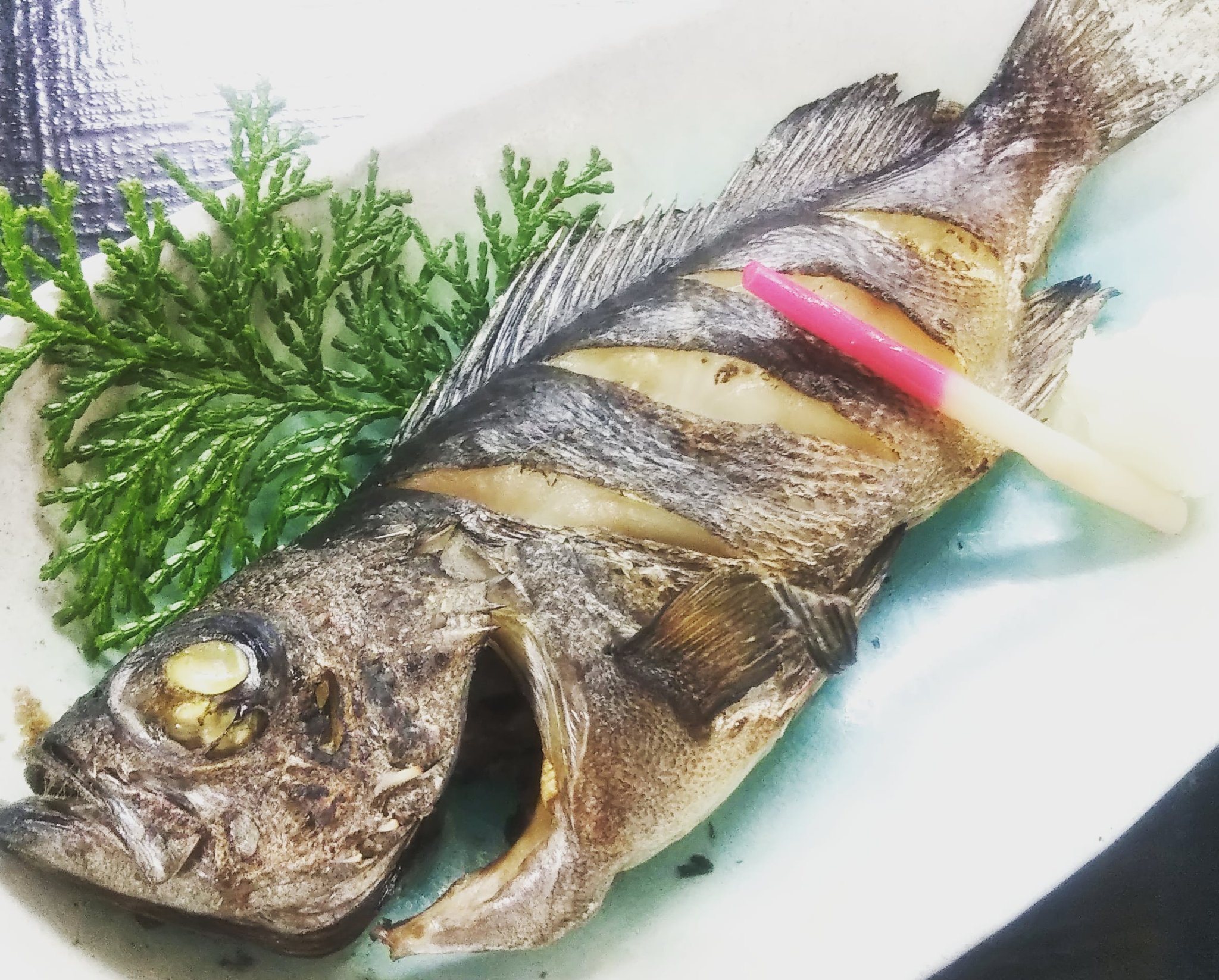 鳥羽磯部漁協直営 魚々味 ととみ メバル と聞いてどんな料理を思い浮かべますか 煮付のイメージが強い魚ですが 塩焼きも最高に美味しいですよ スタッフのオススメです メバル メバルの塩焼き メバルは煮付けよりも塩焼き派 漁協直営 魚々