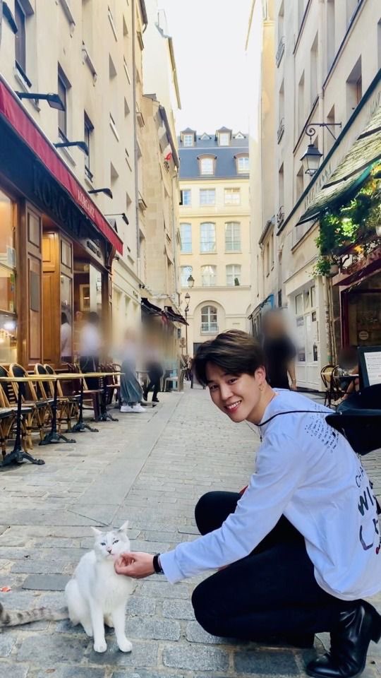 jimin as you travel buddy - a soft thread