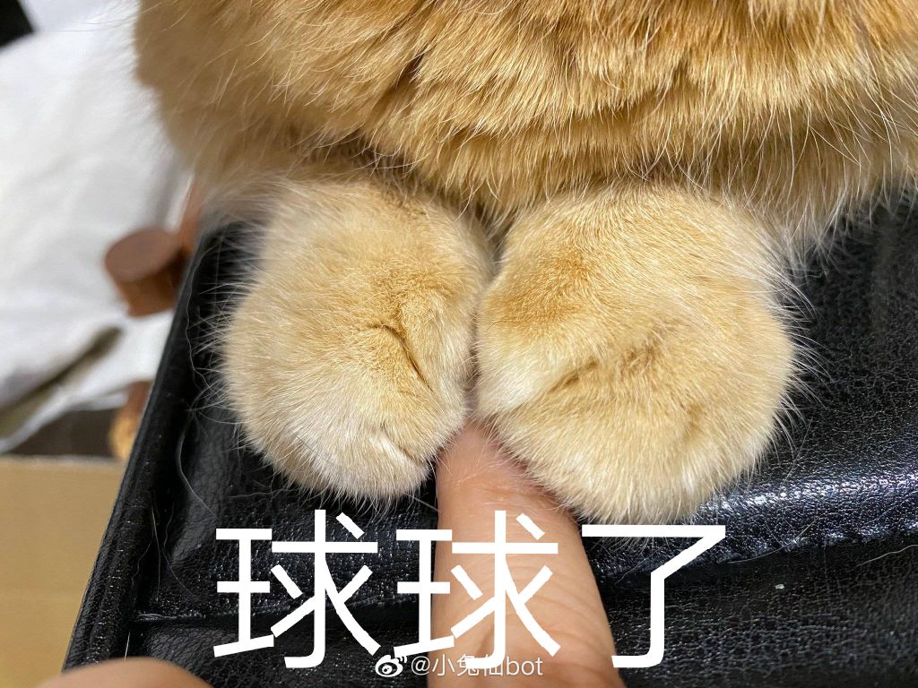 huxbsjsilan's tweet photo. 相亲相到帅哥太尴尬啦 想睡不能睡 亲戚朋友一大堆熟人 谈吧又没感觉 https://t.co/kYpPMpiktt