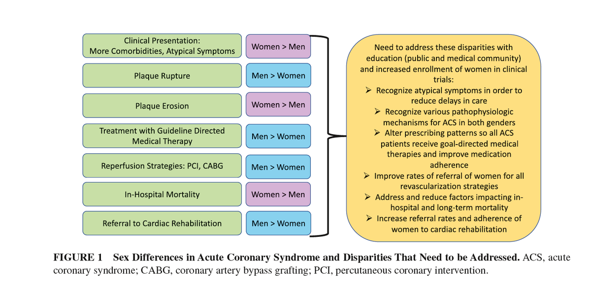 Niti R. Aggarwal, MD, FSCMR, FASNC, FACC (@niticardio) on Twitter photo Ch 4 ACS by
<a href="/DrLaxmiMehta/">Dr. Laxmi Mehta</a> @KDBoudoulas <a href="/BossoryMD/">Laurie Bossory Goike</a>
♥️ 👩 present with plaque erosion vs plaque rupture in 👨🦰
♥️ 👩 less likely to undergo CABG, PCI, Rx and Rehab
♥️ 👩with higher mortality
<a href="/drmalissawood/">Malissa Wood</a> <a href="/ElsevierConnect/">Elsevier</a> #CVDWomen
Buy 👉bit.ly/2YufaSQ Ch 4 ACS by
<a href="/DrLaxmiMehta/">Dr. Laxmi Mehta</a> @KDBoudoulas <a href="/BossoryMD/">Laurie Bossory Goike</a>
♥️ 👩 present with plaque erosion vs plaque rupture in 👨🦰
♥️ 👩 less likely to undergo CABG, PCI, Rx and Rehab
♥️ 👩with higher mortality
<a href="/drmalissawood/">Malissa Wood</a> <a href="/ElsevierConnect/">Elsevier</a> #CVDWomen
Buy 👉bit.ly/2YufaSQ