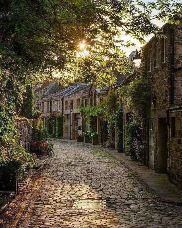 Online classes or real classes