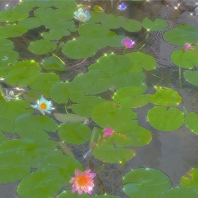 What’s your dream career