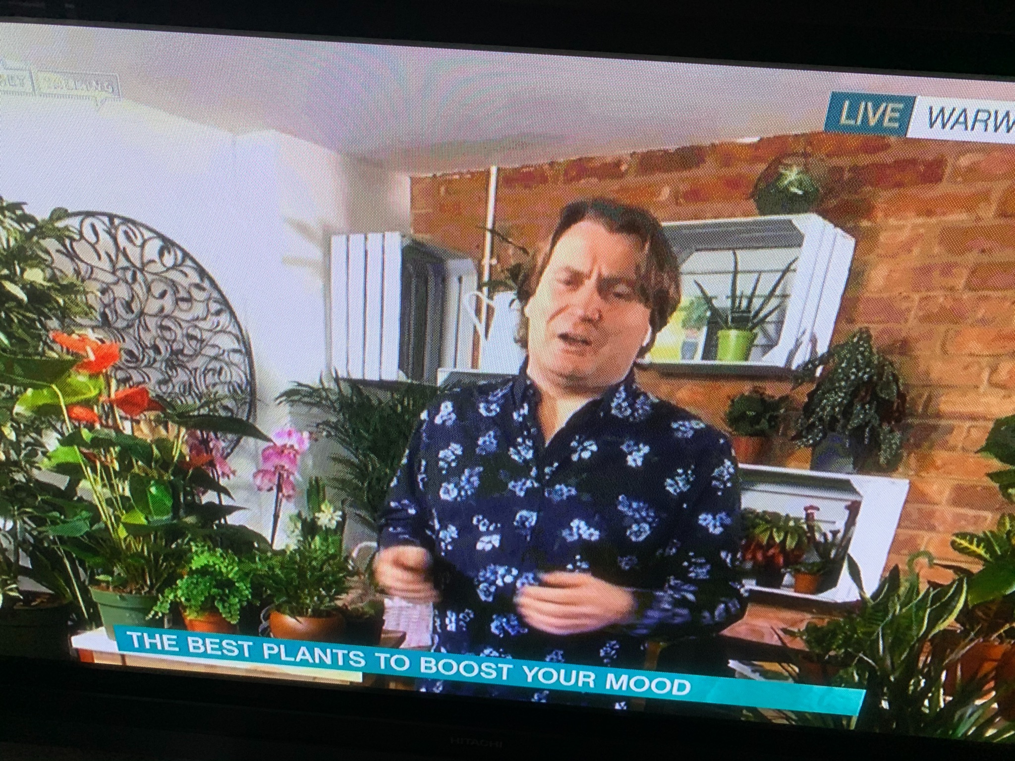 めいろま みにろま君とサバイバル 集英社から発売中 イギリス 朝のテレビ お部屋を明るくする観葉植物の育て方や増やし方 ガーデニングもこの様な中年男性が出演し植物はいかに重要か熱く語る イギリスの庭師はとりあえず熱い 日本の園芸コーナーと