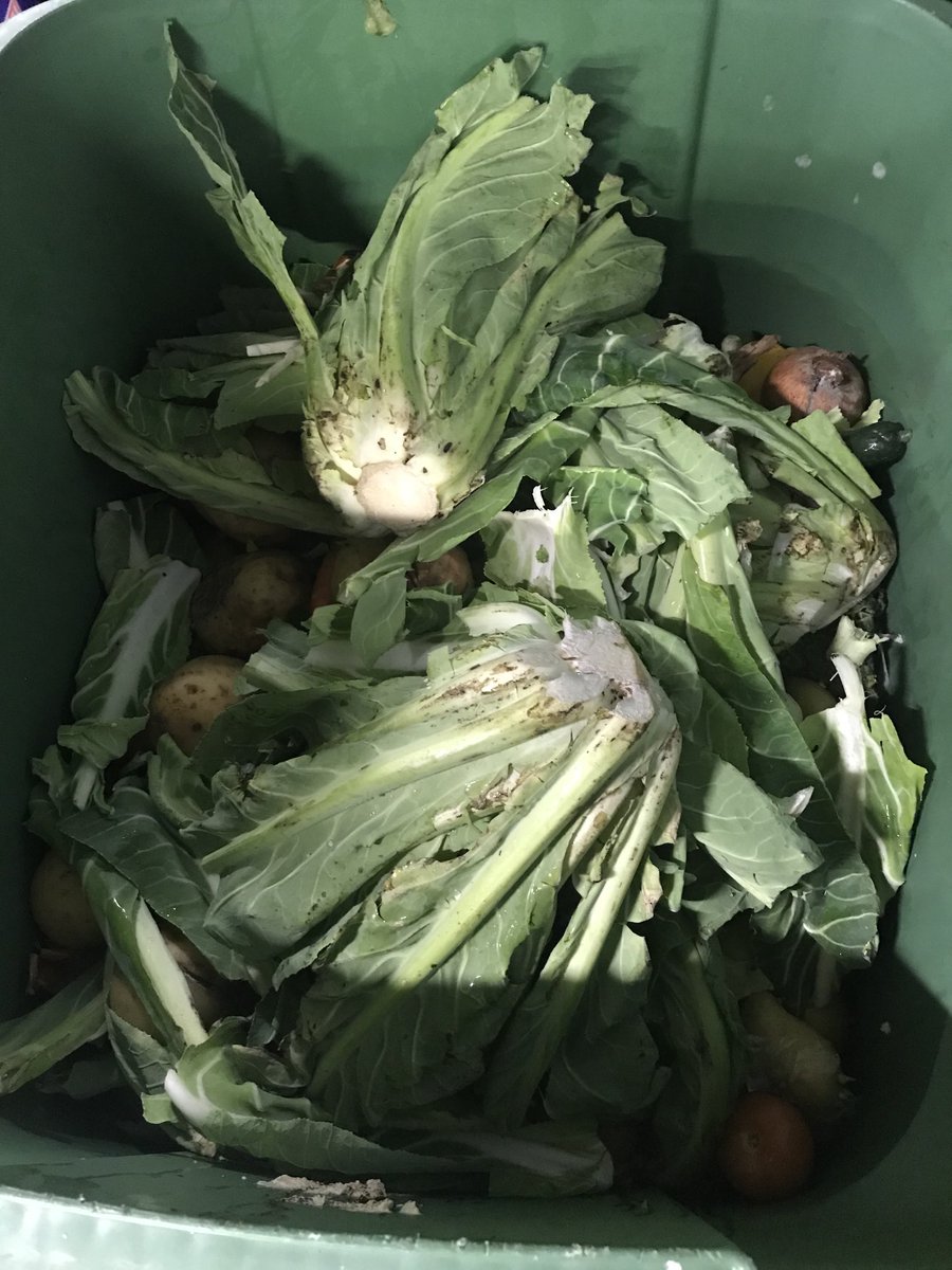 paulcla73100185's tweet photo. If you produce around 50 litres of food waste a day we have a solution with the PRM Bio Processors from 250 litres per day upwards capacity.
#foodwaste #bioprocessor #reducerecycle #carbonlockup #carbonfootprint #wastefood #zerowaste #catering #reducefoodwaste https://t.co/9q3FsBL6Gw