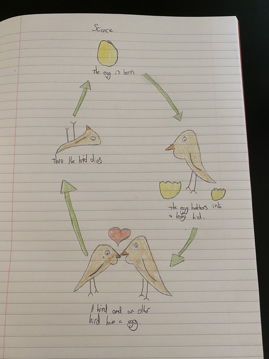 Henry has been learning all about the life cycle of a bird in science today &amp; produced this masterpiece <a href="/MissDavey11/">Miss Davey</a> @handisides_emma