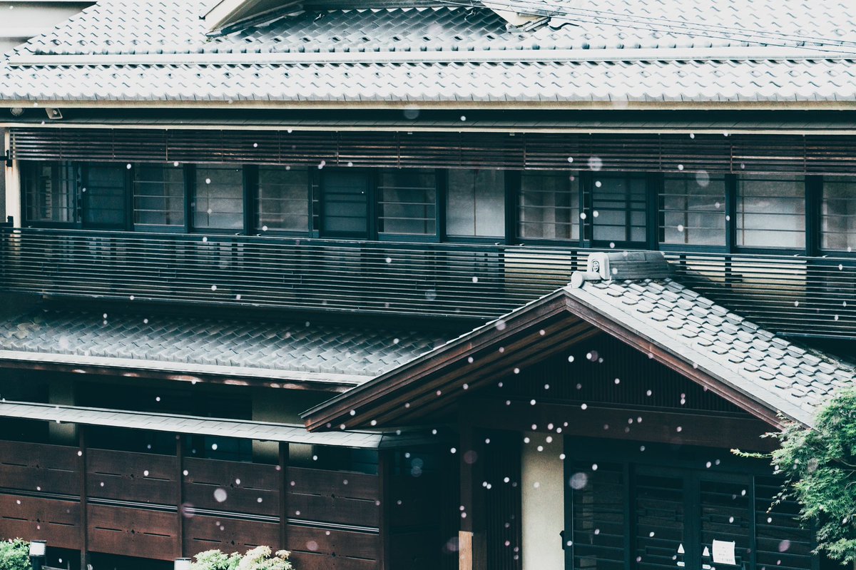 けものん 五月の桜吹雪 若草山麓にある松乃家旅館に泊まってみたいのですが宿泊情報が出てきません もう泊まれないのでしょうか どなたかご存知ですか けものん 五月の桜吹雪 若草山麓にある松乃家旅館に泊まってみたいのですが宿泊情報が出てきません もう泊まれないのでしょうか どなたかご存知ですか