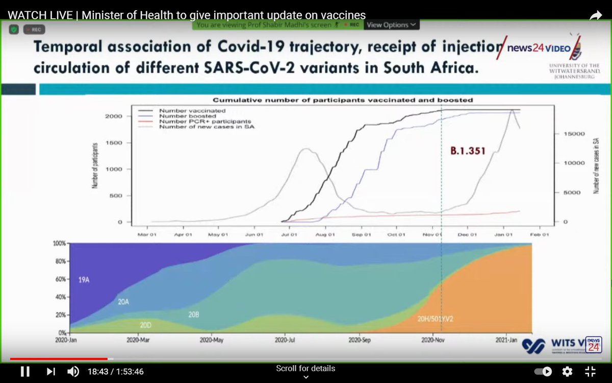 The trial began in June 2020, before the emergence of the South African variant (in September), which is thought to be more transmissible and more virulent.By the end of the year, the variant accounted for almost all cases in South Africa (orange area of the graph).