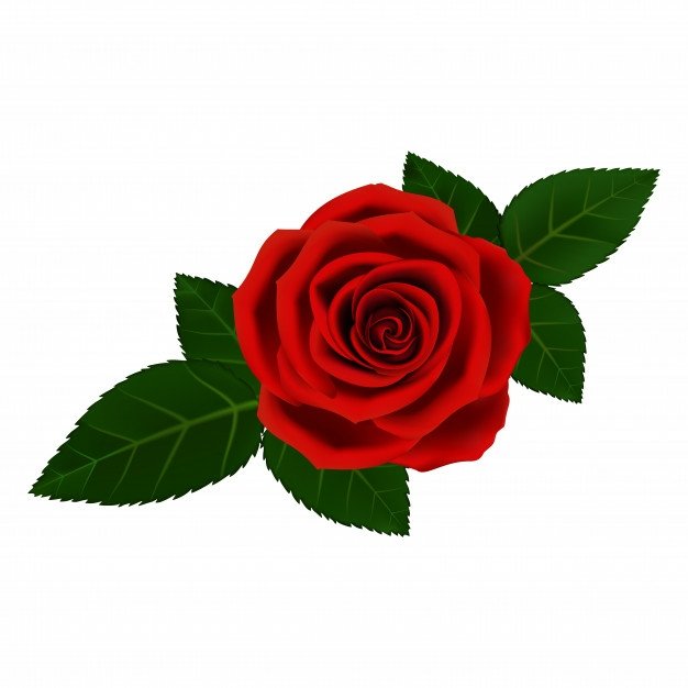 Change The World By Being Yourself. Rashami Birthday Week                 #1MPostsOfRashamiOnIG