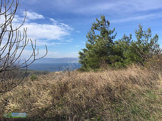 EŞİ BENZERİ YOK HOBİ BAHÇESİ
İlan No: 902829732
sahibinden.com/ilan/emlak-ars…