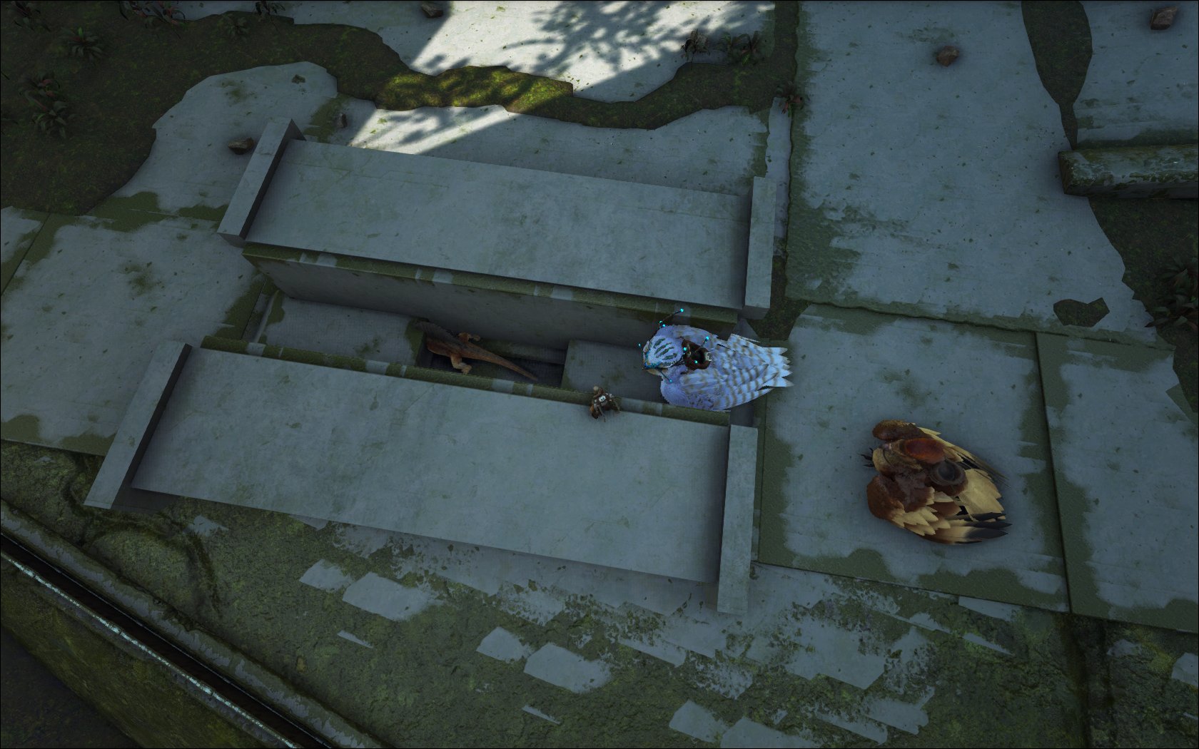 しもっち Arkエクス どんどん捕まえちゃう 麻酔矢 では体力が気絶値の450 未満なエアコン君は捕まえられないけど 雪フクロウで全部解決しちゃう 高品質ライフル手に入らない限り麻酔銃作らずに終わりそう あとメガテリ ついでに昨日温室作っ しもっち Arkエクス どんどん捕まえちゃう 麻酔矢 では体力が気絶値の450 未満なエアコン君は捕まえられないけど 雪フクロウで全部解決しちゃう 高品質ライフル手に入らない限り麻酔銃作らずに終わりそう あとメガテリ ついでに昨日温室作っ