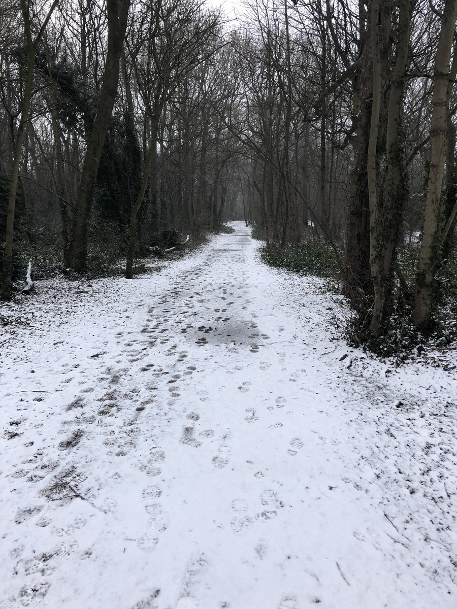joypenzer's tweet photo. 8am on a snowy morning.. just shows how many people use the #WoldsWay #NorthFerriby Too beautiful for @Wykeland to ruin with their Amazon #megashed #SayNo! Keep objecting @saveferriby2020 @East_Riding @55motown @_BCT_ @WWoodlanders @WoodlandTrust @Natures_Voice @BarnOwlTrust https://t.co/RzTOVqLqIx