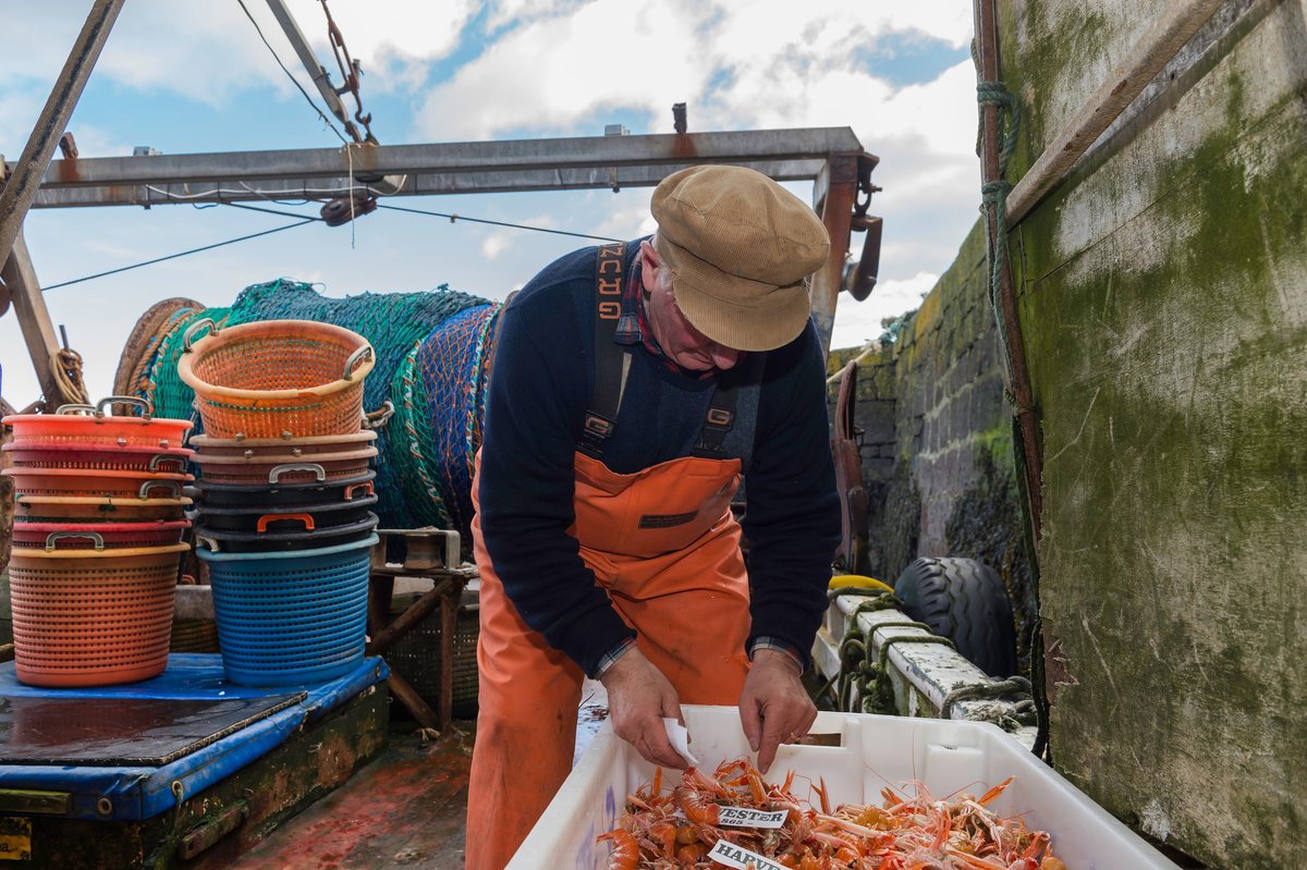 AberdeenshireEconDev tweet media