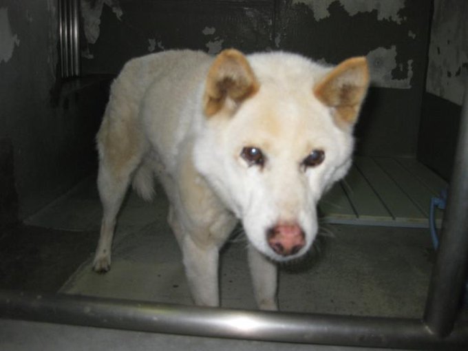 丘のtwitterイラスト検索結果