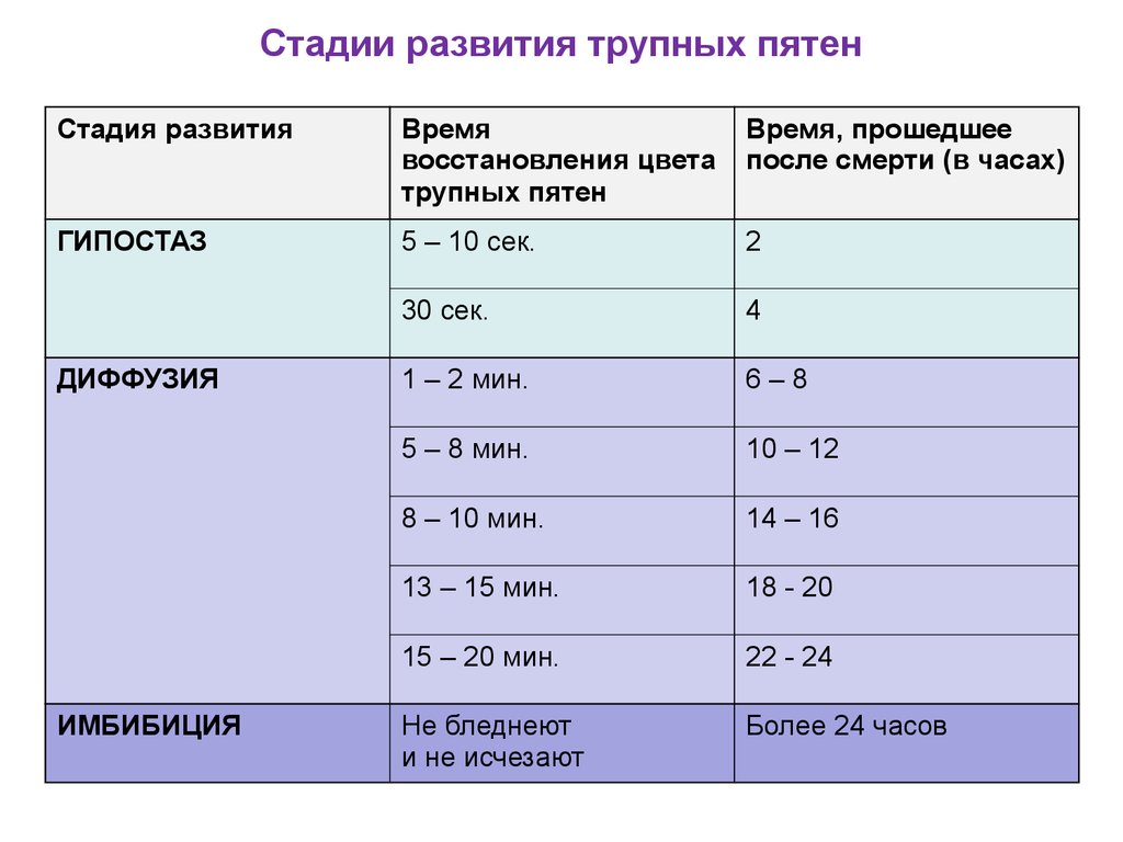 За сколько времени появляется. Студии развития трупныепятен. Стали. Ращвмтия трупныз пятен. Стадии развития трупных пятен.