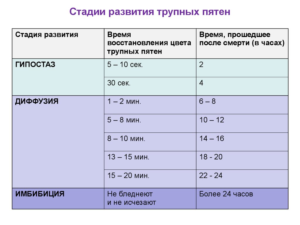 Через какое время формируется. Студии развития трупныепятен. Стали. Ращвмтия трупныз пятен. Стадии развития трупных пятен.