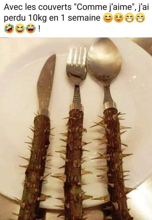 TBodinier's tweet image. #Multifonctions avec test de #Glycemie incorporé #CureDent #Peigne...