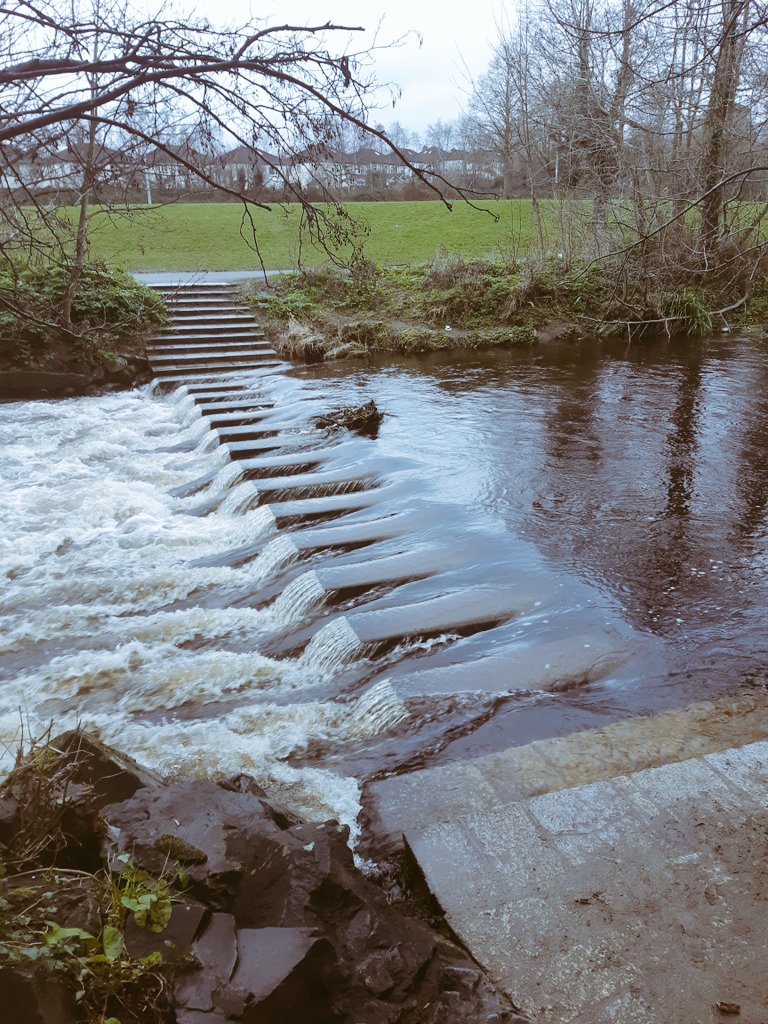 tarryathome's tweet photo. February 8th, this week's #PoetryPrompt #NodFilíochta 4 adults is #SteppingStones or #ClochaCora más fearr libh. Path across water, aid to progress. Tweet your work here & @poetryireland. And join the late rush of #ABCDublin #ABCBÁC rhymes! #PoetInResidence #SelfIsolationHelp https://t.co/U80FeUvrrJ