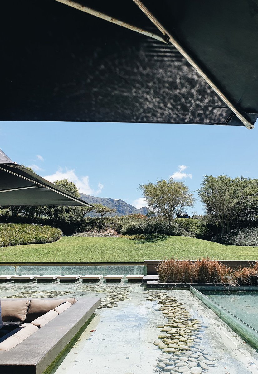 The Little Hedonist tweet media