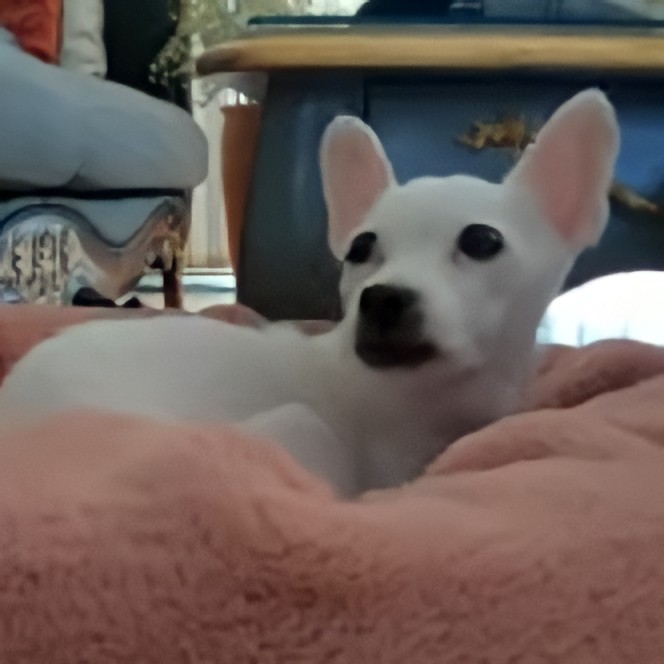 ───────•❥❥❥•───────     Thoriq HD 210208───────•❥❥❥•───────┊ ┊ ┊ ┊ ┊ ┊ ┊ ┊ ✧┊ ❀✧