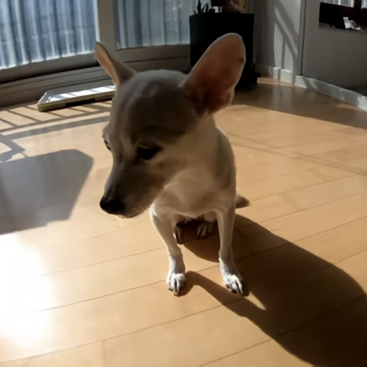 ───────•❥❥❥•───────     Thoriq HD 210208───────•❥❥❥•───────┊ ┊ ┊ ┊ ┊ ┊ ┊ ┊ ✧┊ ❀✧