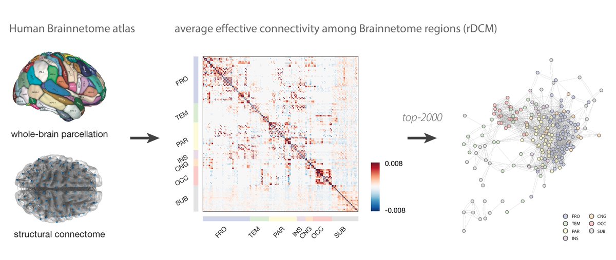 Stefan FrƤssle (@stefan_fraessle) on Twitter photo New paper on āRegression dynamic causal modeling for resting-state fMRIā has been accepted for publication in Human Brain Mapping -- work with colleagues from @tnuzurich & the BSNIP consortium #rDCM #connectivity #wholebrain #connectomics #restingstate onlinelibrary.wiley.com/doi/10.1002/hb⦠1/n New paper on āRegression dynamic causal modeling for resting-state fMRIā has been accepted for publication in Human Brain Mapping -- work with colleagues from @tnuzurich & the BSNIP consortium #rDCM #connectivity #wholebrain #connectomics #restingstate onlinelibrary.wiley.com/doi/10.1002/hb⦠1/n