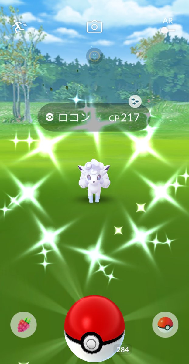 寝子 ポケモン わーい 今日だけで色違い２匹ゲット タマゴからクヌギダマ 野生でアローラロコン アローラロコンは初ゲットだから嬉しい ポケモンgo 色違い クヌギダマ アローラロコン