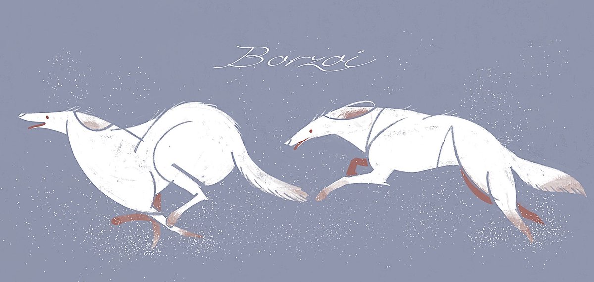 ボルゾイ 46のイラスト